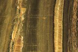 Polished Packsaddle Tiger Eye Slab - Western Australia #290950-1